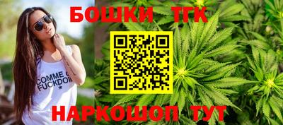 индика Гусев