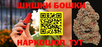 индика Гусев