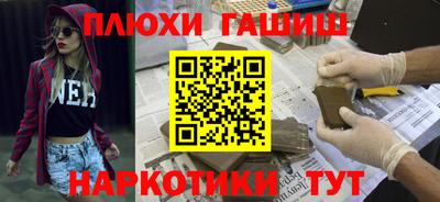 индика Гусев