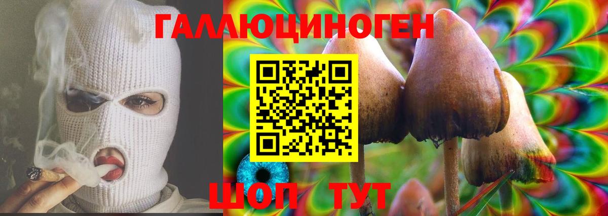Нижнекамск  Псилоцибиновые грибы Psilocybine cubensis  Вход с VPN 